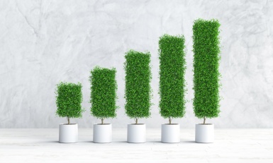 CCUS : une solution clé pour la décarbonation ?